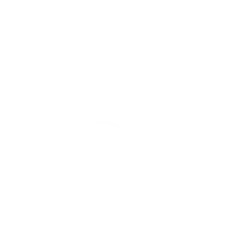 Diet Diary LOGO