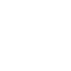 ZFL LOGO