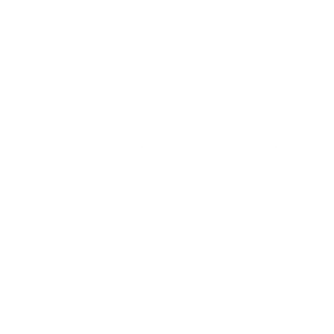 ZENITHIVE LOGO